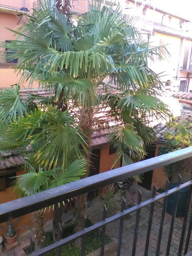 La Culla Apartamento Imola Exterior foto